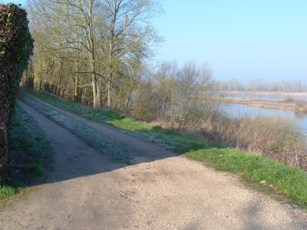 Les Gites De Colliers Muides-sur-Loire Zimmer foto