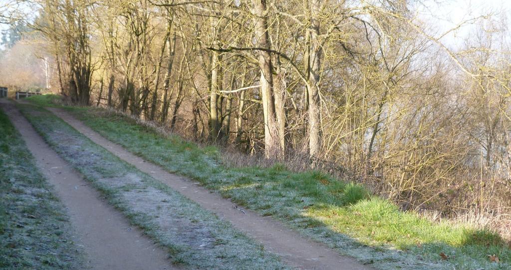 Les Gites De Colliers Muides-sur-Loire Zimmer foto